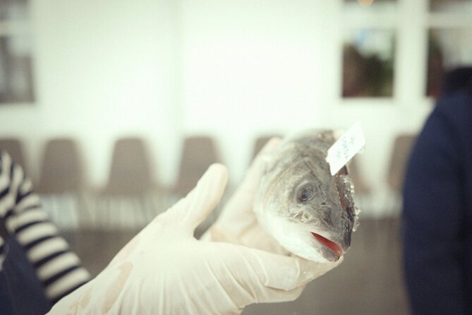 Private Mediterranean Fish Cooking Workshop with Irena - A hands-on lesson at Fonda Fish Garden