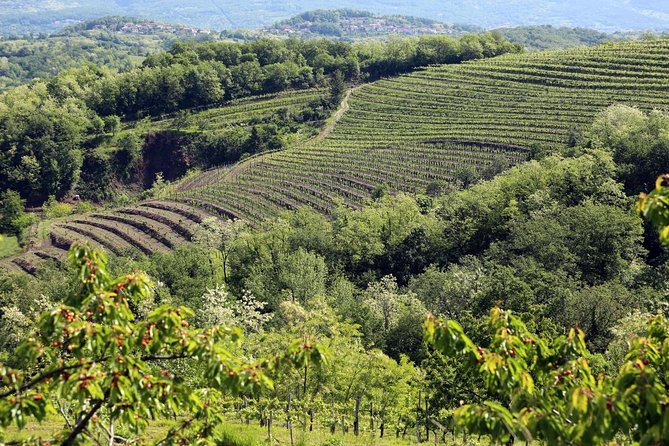 Secret vineyards E-bike tour - What the $360.03 price really buys