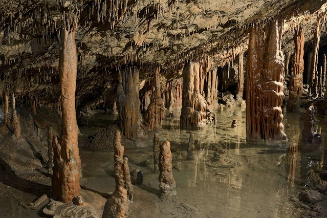Skocjan UNESCO Caves and Piran full day tour (small group, max. 8) - Why this day trip works from Ljubljana