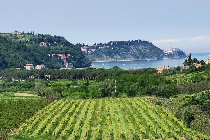 Slovenian coast Koper, Izola, Piran - Parenzana electric biking tour from Koper - Why an e-bike is the right tool for Slovenia’s coast