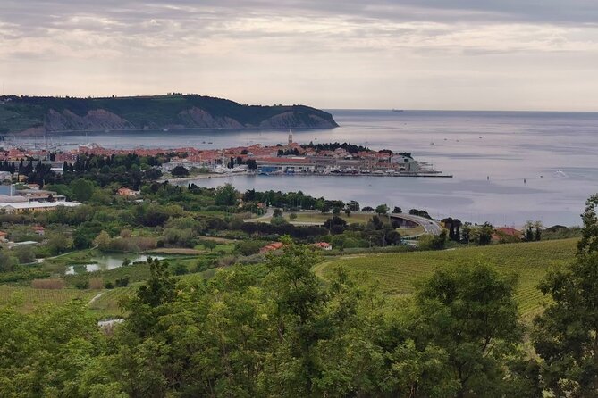 Slovenian coast Koper, Izola, Piran - Parenzana electric biking tour from Koper - Portorož adds a lighter seaside stop