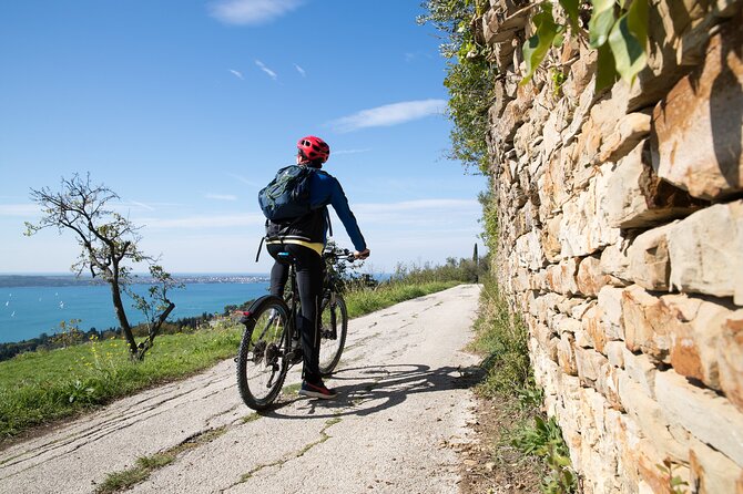 Slovenian coast Koper, Izola, Piran - Parenzana electric biking tour from Koper - What the $259.06 price includes