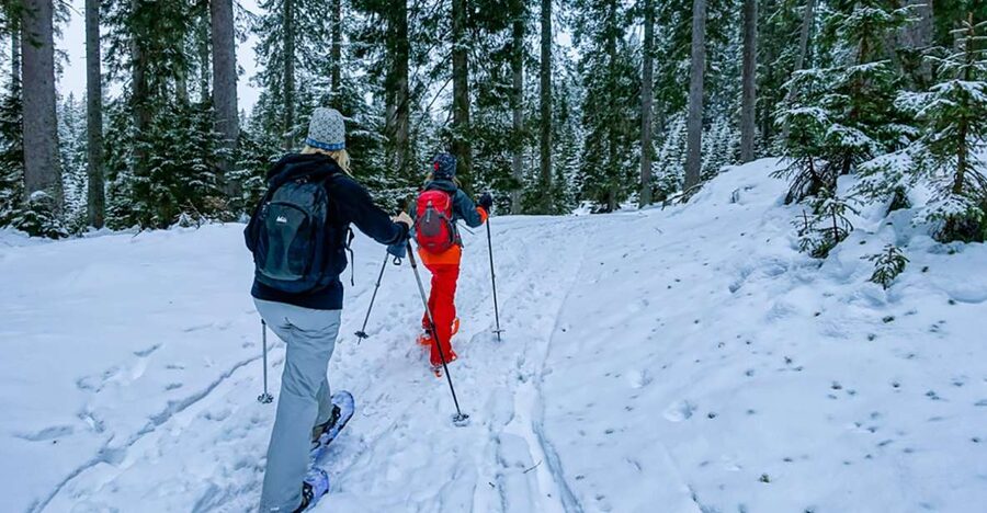 Snowshoeing in Triglav National Park - Why winter changes Triglav National Park