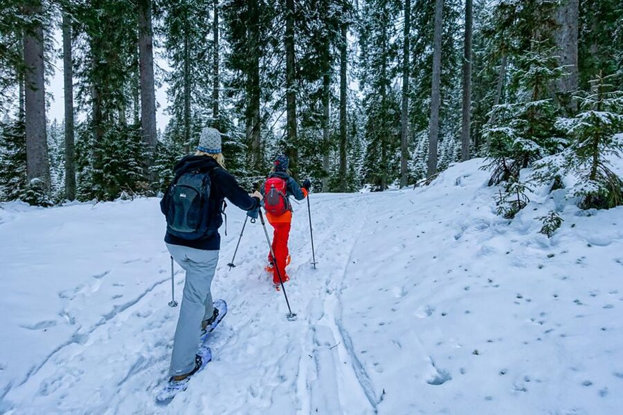 Snowshoeing in Triglav National Park - Getting fitted with snowshoes and poles