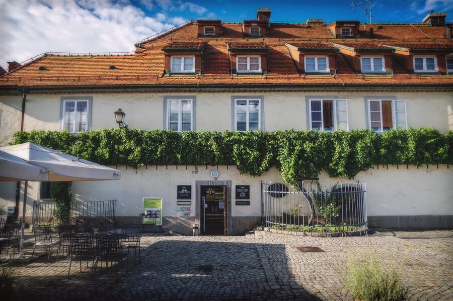 Stories and Tastes of Maribor: City Tour with Wine Tasting - Who will get the most from this tour