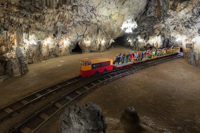 Tour to Postojna and Predjama Castle from Koper - The olm, Slovenia’s famous cave animal