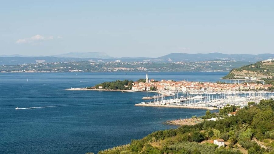 TRIESTE: Slovenian Coast Tour with Food and Wine Tasting - Why this coastal outing works from Trieste