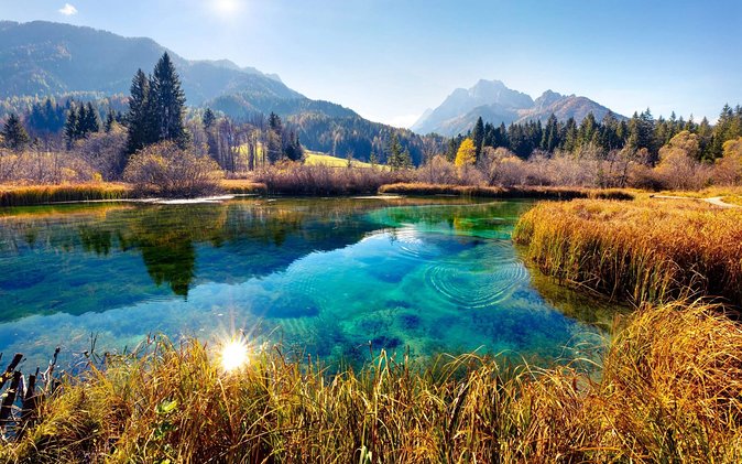 Triglav National Park and the Alps Private tour - A traditional Slovenian lunch