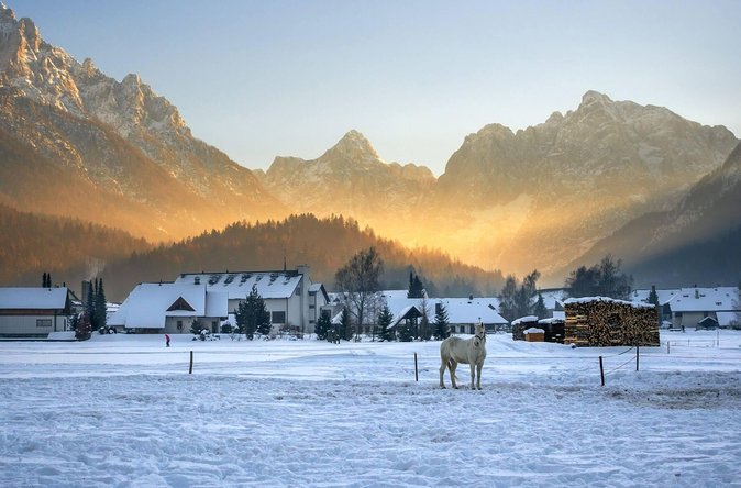 Triglav National Park and the Alps Private tour - Zelenci Nature Reserve and the unfrozen water