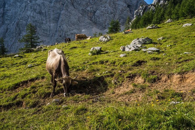 Triglav tour in 2 days Slovenia - The four-hour push to Triglav’s summit