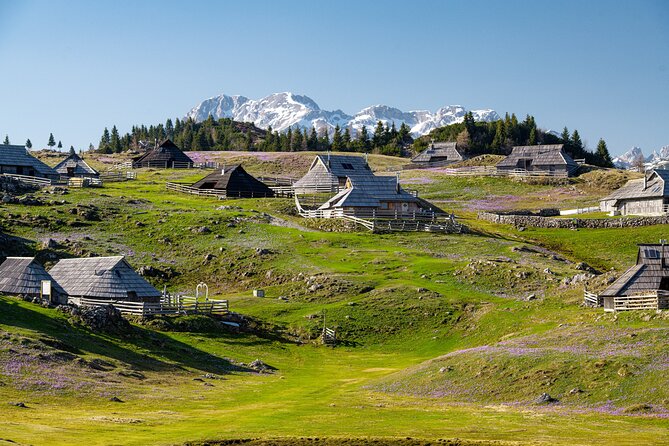 Velika Planina Guided Hike from Ljubljana - Reaching Velika Planina from Ljubljana