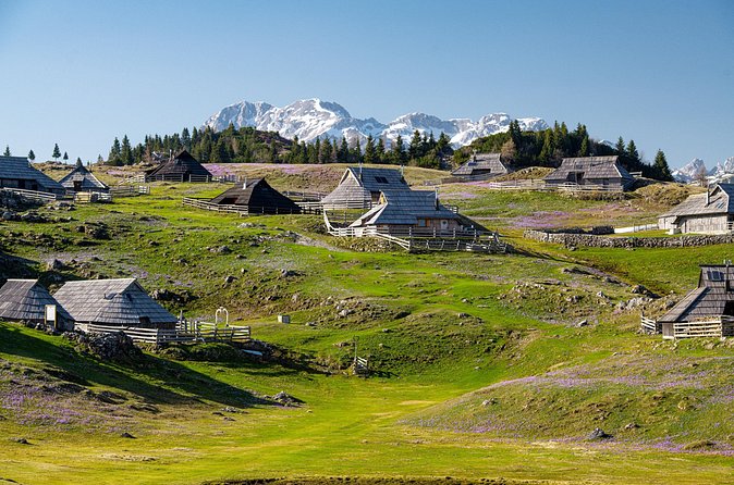 Velika Planina Guided Hike from Ljubljana - How the price compares with doing it alone