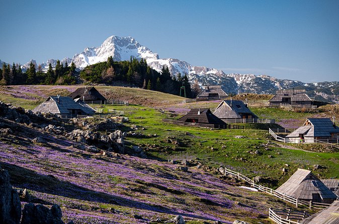 Velika Planina Guided Hike from Ljubljana - Weather, cancellation, and timing