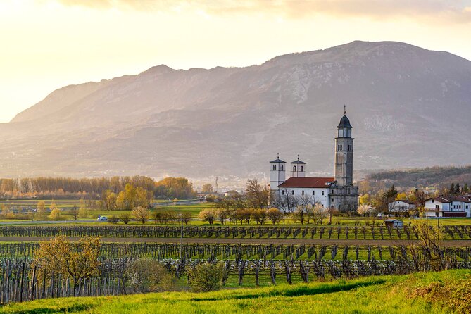 Vipava Valley Wine Express Tour From Ljubljana - Key points at a glance