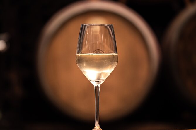 Vipava Valley Wine Express Tour From Ljubljana - Why Vipava Valley makes a fine wine-country escape