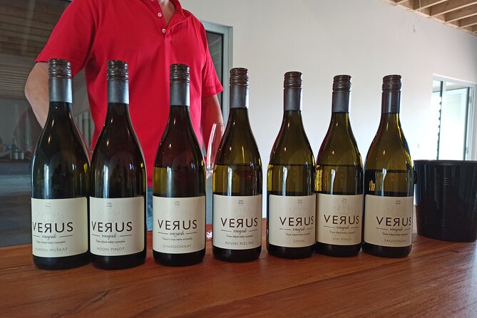 Wine and Culinary Adventure in Jeruzalem - Full Day Tour from Ljubljana or Ptuj - Why Jeruzalem makes a good wine day from Ljubljana