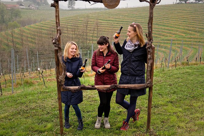 Wine and Culinary Adventure in Jeruzalem - Full Day Tour from Ljubljana or Ptuj - What the day feels like in practice