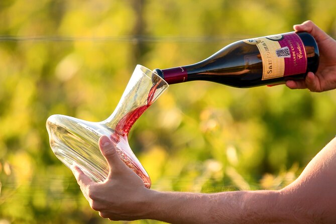 Wine Degustation in the Heart of Slovenian Istria - A family winery with six generations behind it
