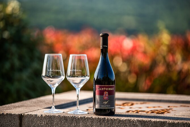 Wine Degustation in the Heart of Slovenian Istria - Four olive oils add a second tasting