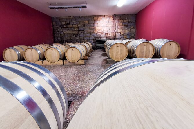 Wine Degustation in the Heart of Slovenian Istria - Views from the cellar tower