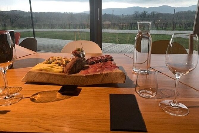 Wine Tasting with Pairing Snacks in Vipava Valley - Who should book this Vipava Valley tasting?