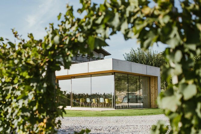 Wine Tasting with Pairing Snacks in Vipava Valley - Arriving at Osek 4b in Šempas