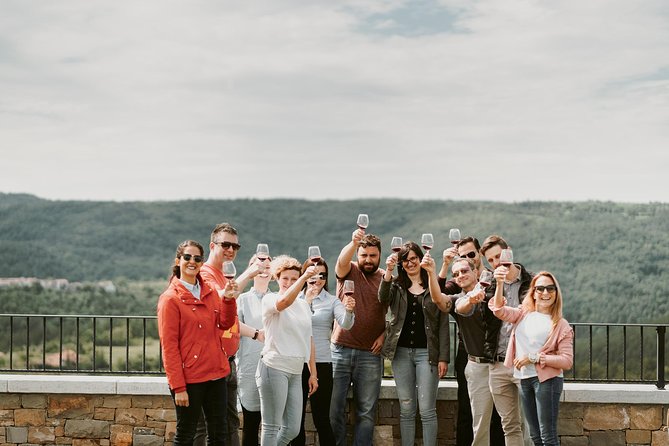 Wine Tours in Slovenia - Key points to know before you book