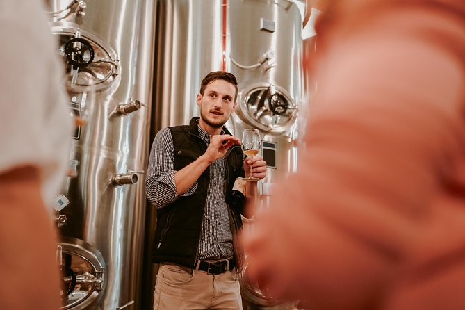 Wine Tours in Slovenia - What the $394.23 price buys you