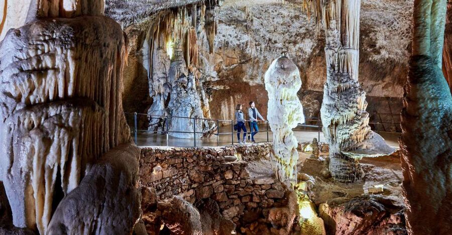 Zagreb: Day Trip Postojna Cave, Predjama Castle, & Ljubljana - The blind salamander stop